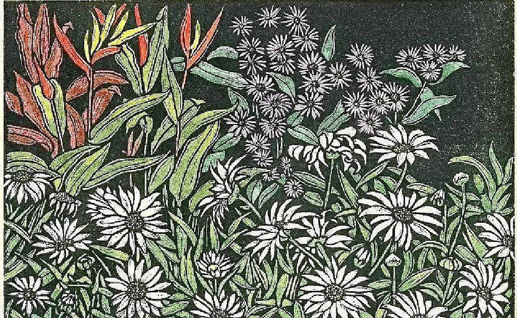 Shirley’s work at the moment focuses on her garden. Shirley’s work at the moment focuses on her garden.